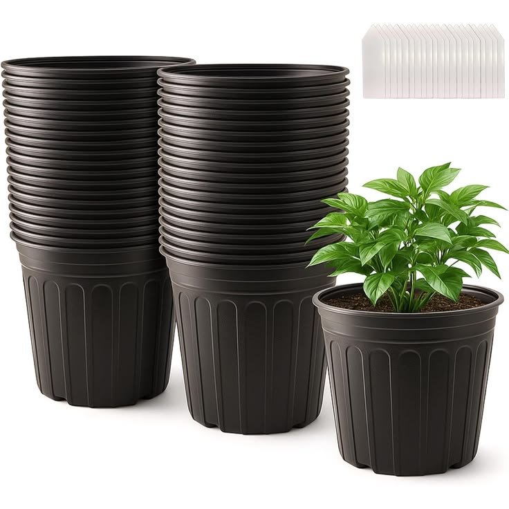 Pots