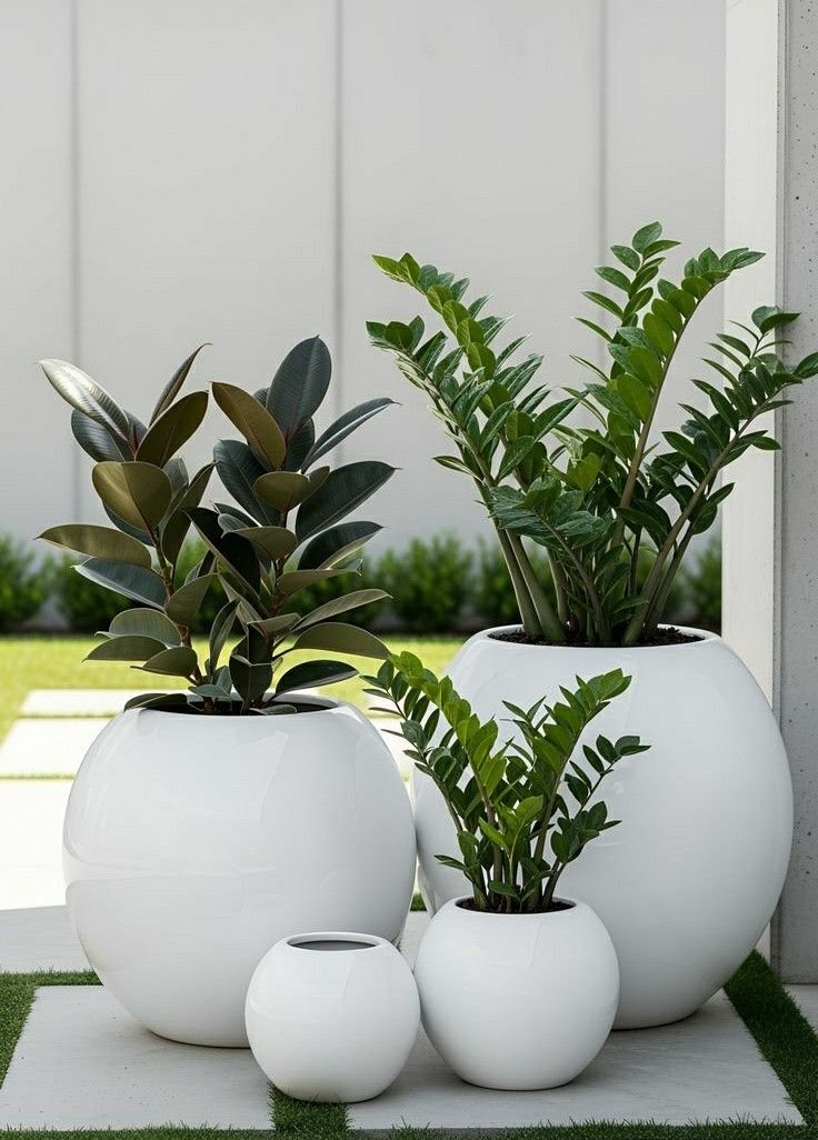 Decoration