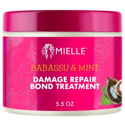 Mielle Babassu & Mint Tratamento Reparador Ligações Capilares 163 ml